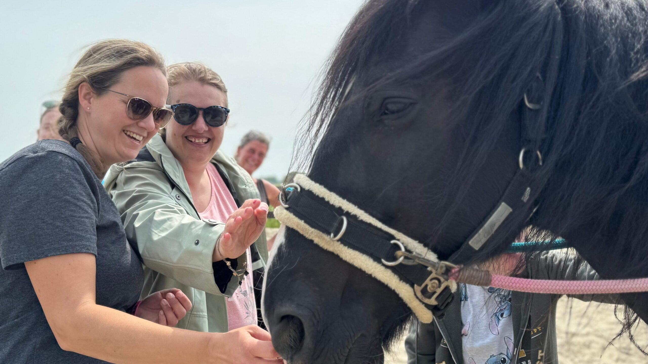 Begeleide vakantie met dieren dierenvakantie in Friesland voor verstandelijk beperkte volwassenen